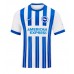 Koszulka piłkarska Brighton Danny Welbeck #18 Strój Domowy 2024-25 tanio Krótki Rękaw